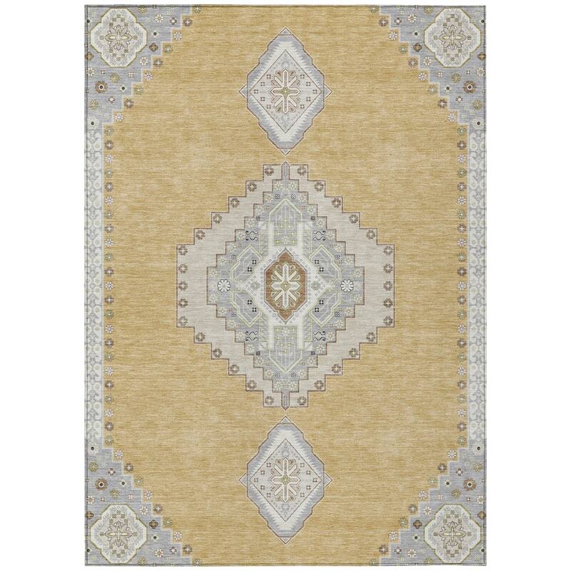 Machine Washable Indoor/ Outdoor Boho Traditional Chantille Rug