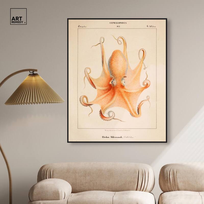 Verany The Octopus 1815 II Canvas by Art Remedy