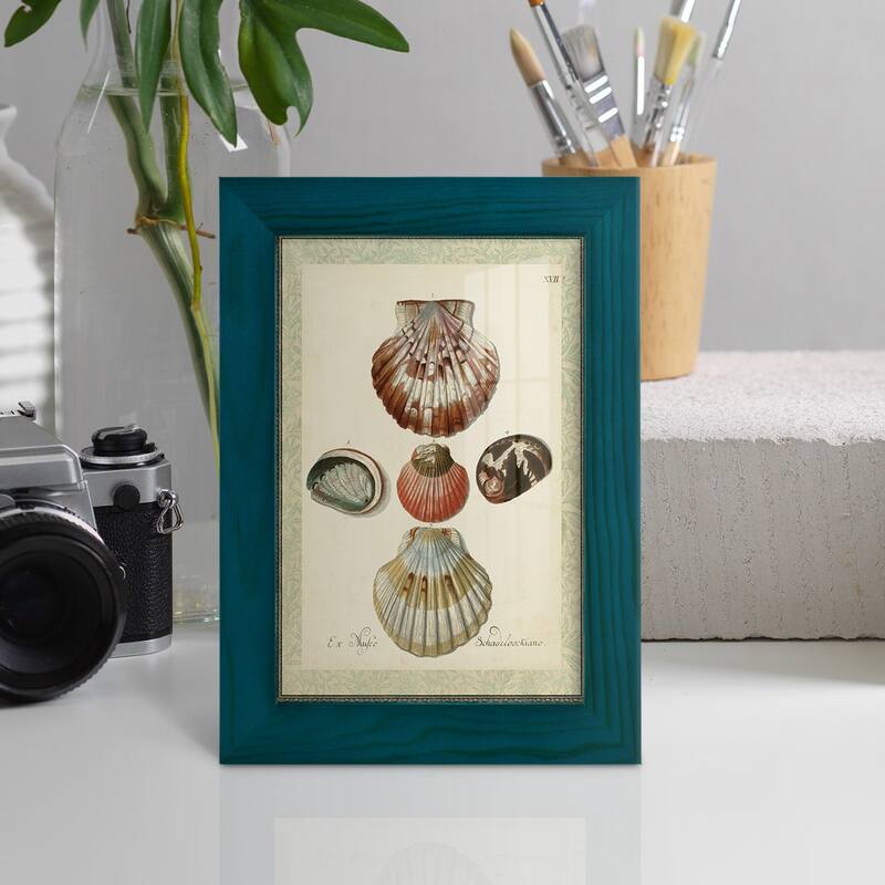 Bookplate Shells III -Framed Print w/glass-Cherry Red