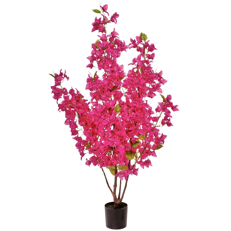 Bougainvillea Tree 4.5'