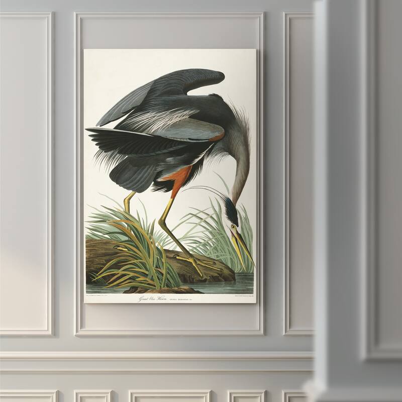 Pl 211 Great Blue Heron-Premium Gallery Wrapped Canvas