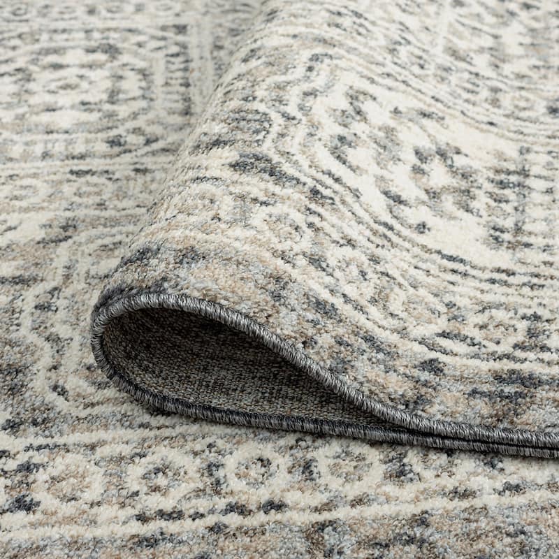 Tucson Farmhouse Oriental Indoor Area Rug