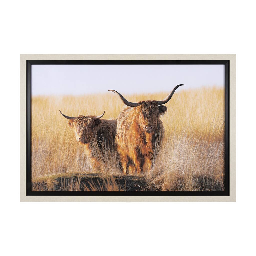 Young and Old Highlander Framed Art Print