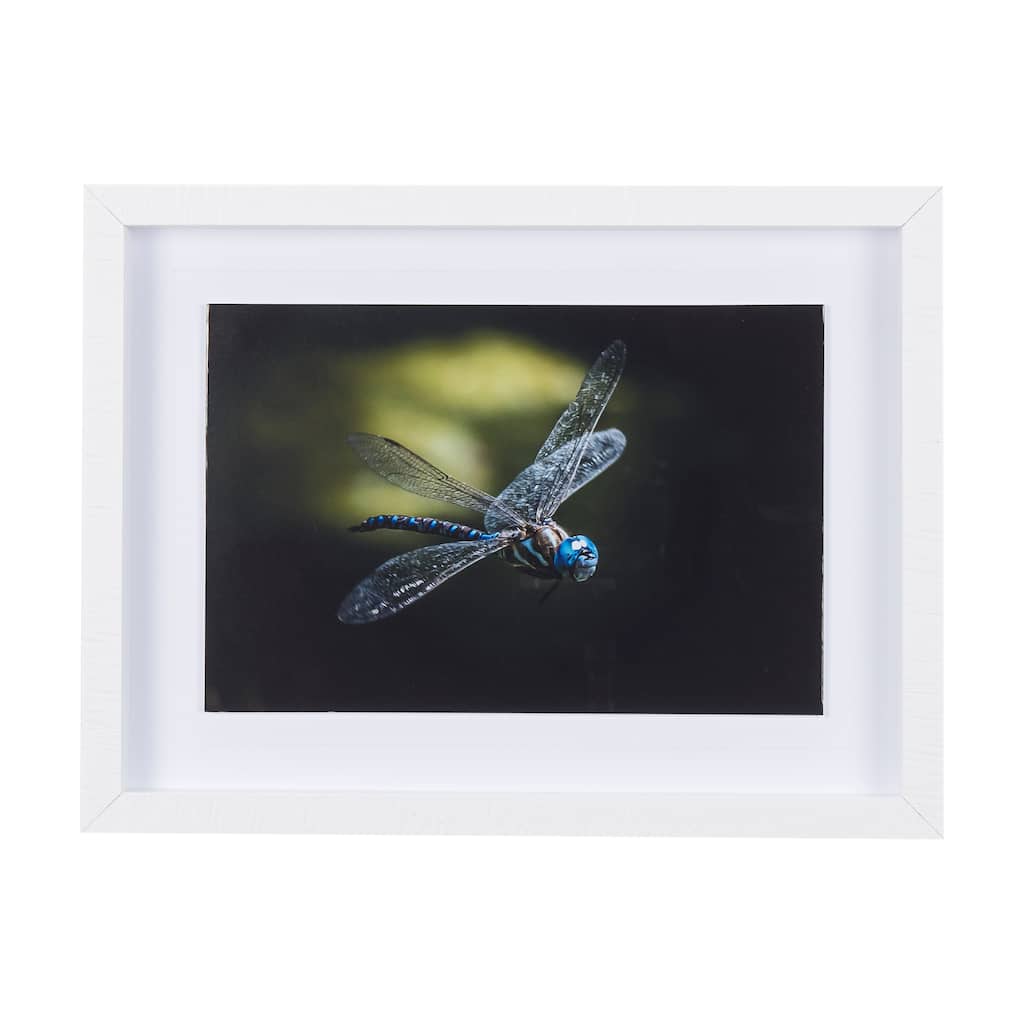 Dragon Fly Framed Art Print