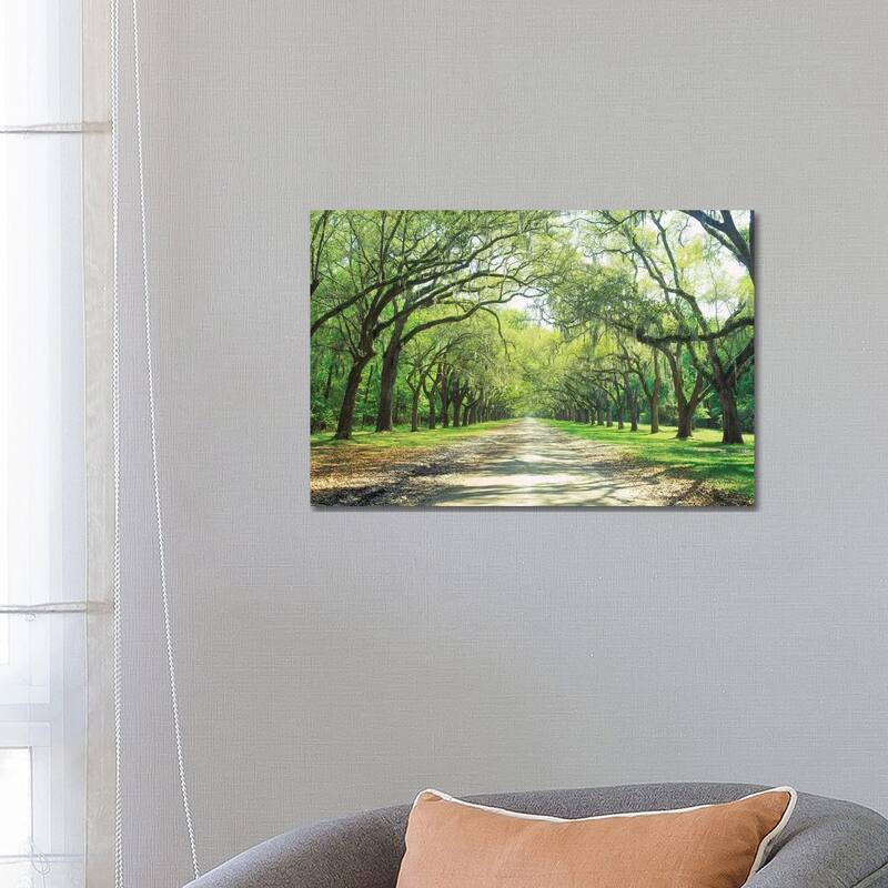 iCanvas "Live Oaks And Spanish Moss Wormsloe State Historic Site Savannah, Georgia" by Panoramic Images Canvas Print - 18x26x1.5