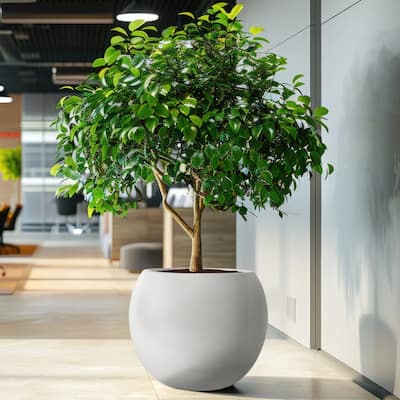 Modern Style Outdoor Planters for Porch, Round Planter with Drainage Hole, MgO Flower Pots,White/Black - N/A