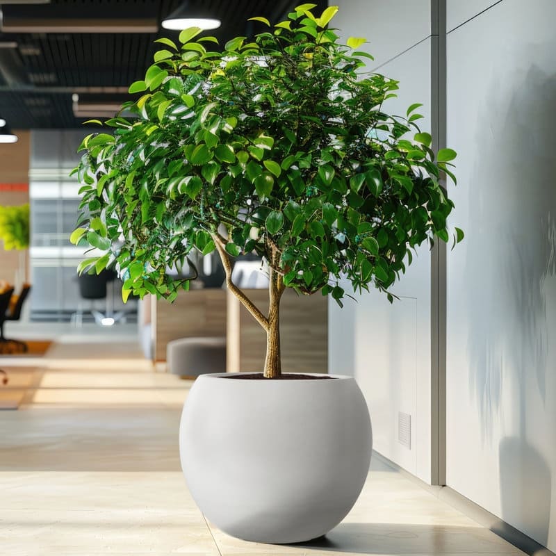 Modern Style Outdoor Planters for Porch, Round Planter with Drainage Hole, MgO Flower Pots,White/Black