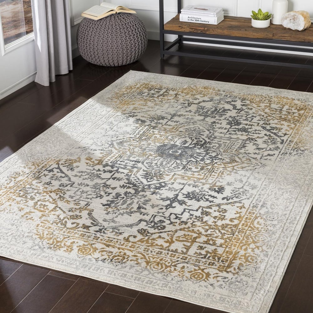 Livabliss Traditional Aisha Medallion Area Rug