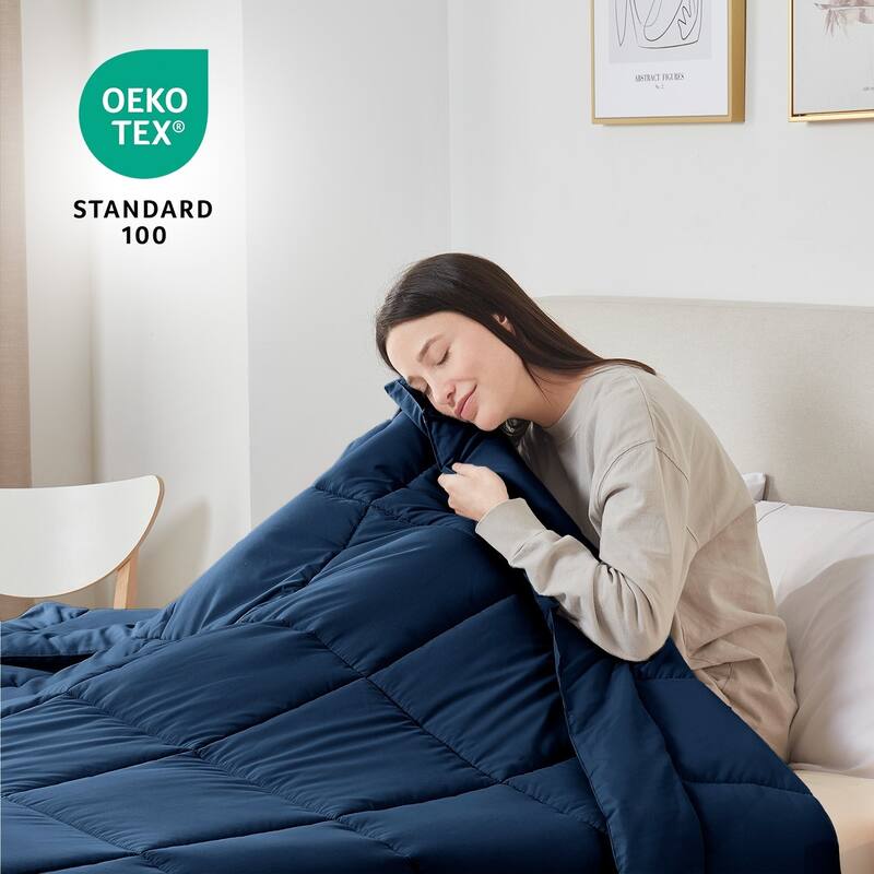 Empyrean All Season Alternative Down Lightweight Reversible Comforter Set