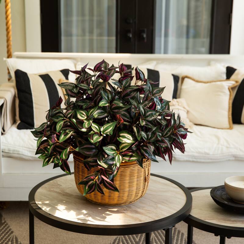 19-in UV Resistant Artificial Wandering Jew Bush - Set of 3