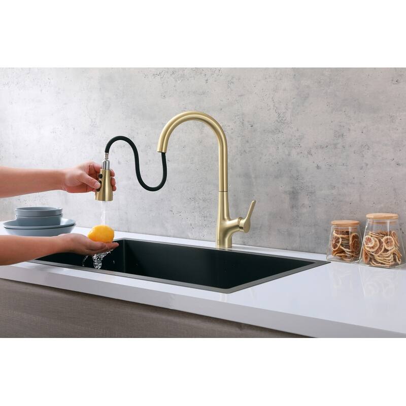 Indigo Home Single Handle Pull Down Sprayer Kitchen Faucet