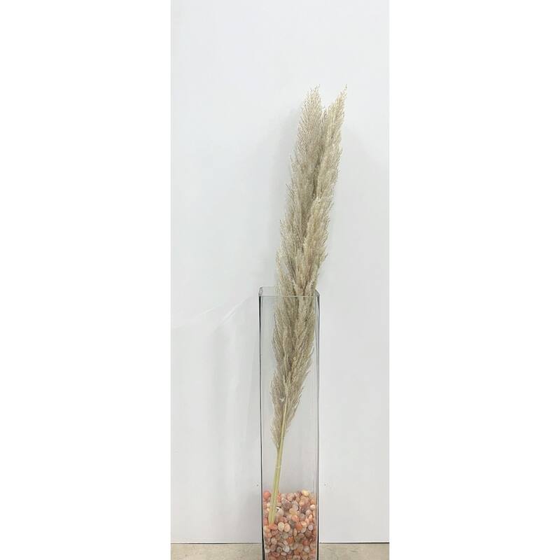 Tall Pampas Artificial Plant - 39.5" - Set of 5