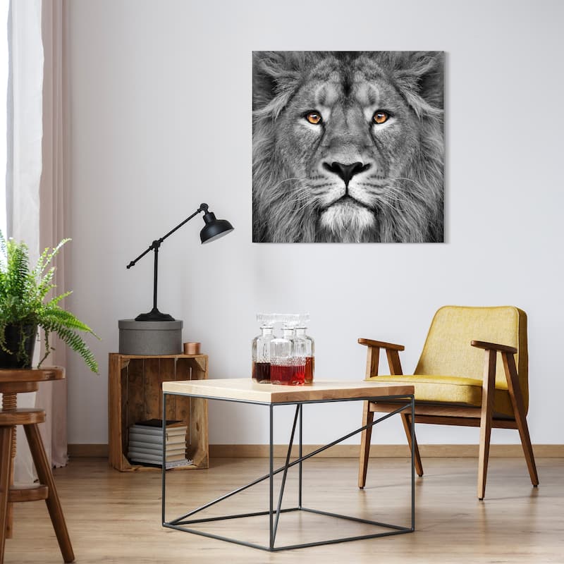 King of the Jungle Lion Unframed Free Floating Tempered Glass Wall Art