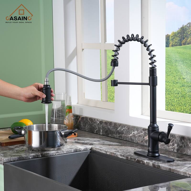 Single Handle 21 in. Pull Down Sprayer Kitchen Faucet