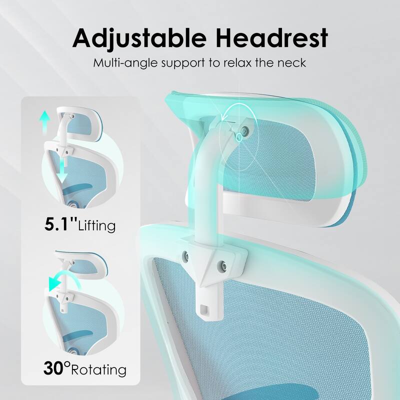 Ergonomic Office Chair, Home Office Desk Chair with Headrest, High Back Computer Chair with Adjustable Lumbar Support