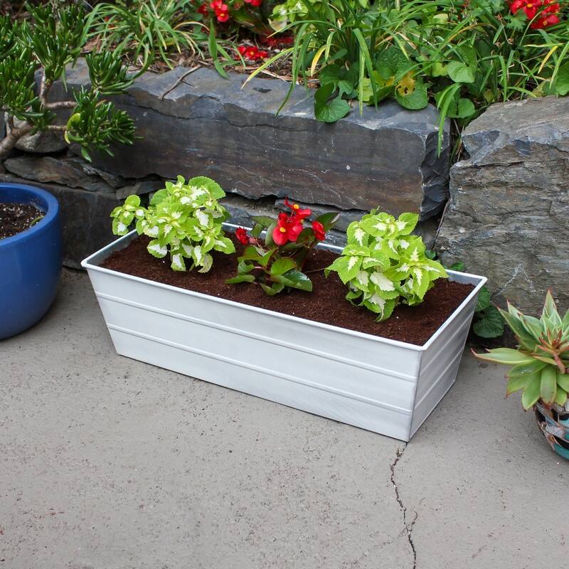 Achla Designs 24" W Medium Galvanized Steel Indoor Outdoor Bloom Box Garden Growing Kit, Garden Accent