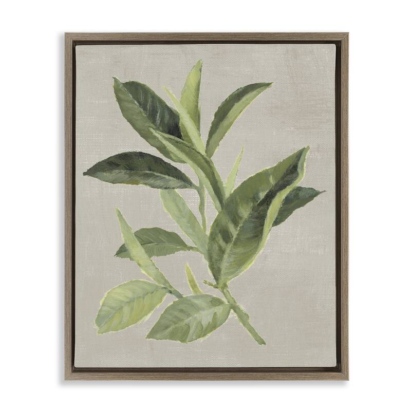 Stupell Green Tea Plant Leaf Framed Floater Canvas Wall Art Design By Lanie Loreth - 25 x 31 - Brown