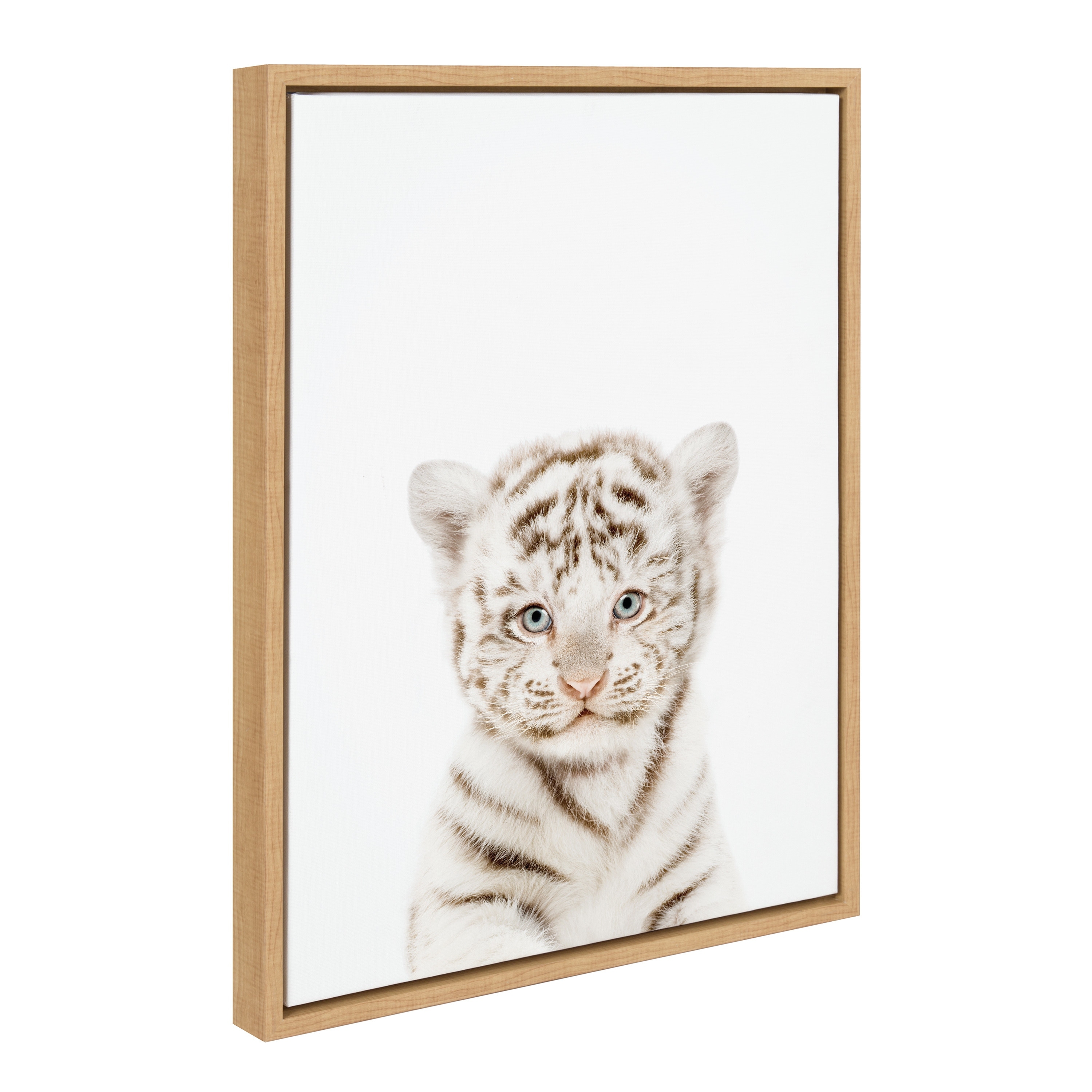 Kate and Laurel Sylvie Animal Studio Baby White Tiger Framed Canvas by Amy Peterson Art Studio