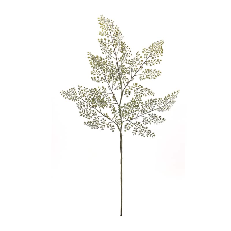 Maiden Hair Fern Spray (Set of 6)