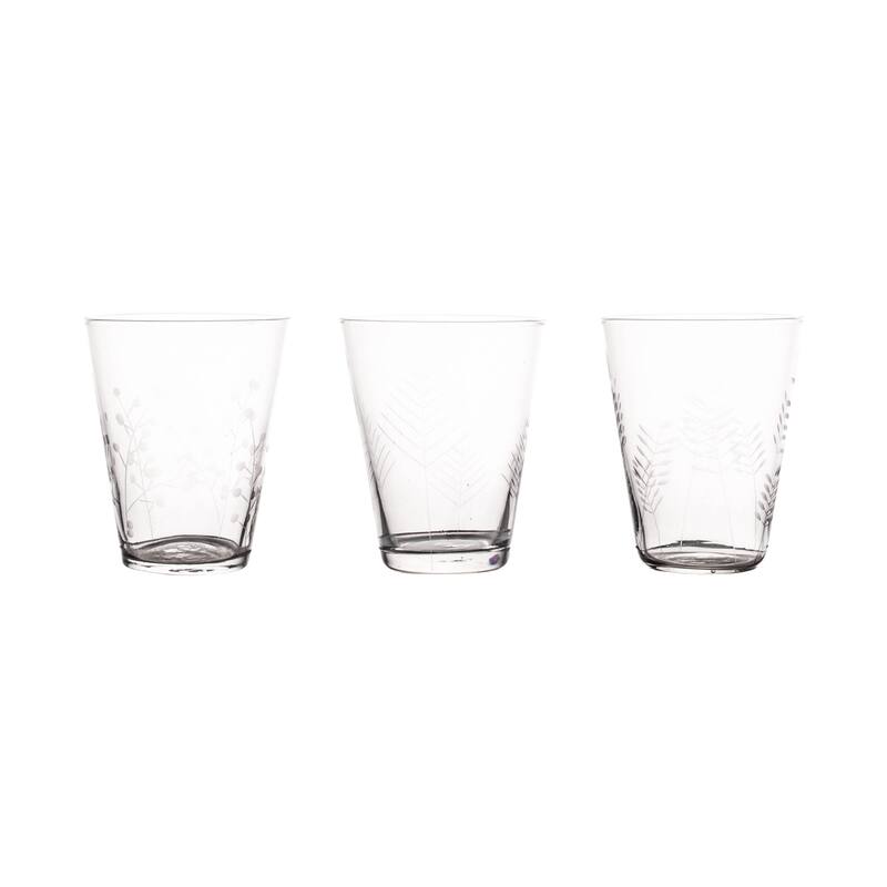 Sienna Botanical Etched Glasses, Mixed Set of 6