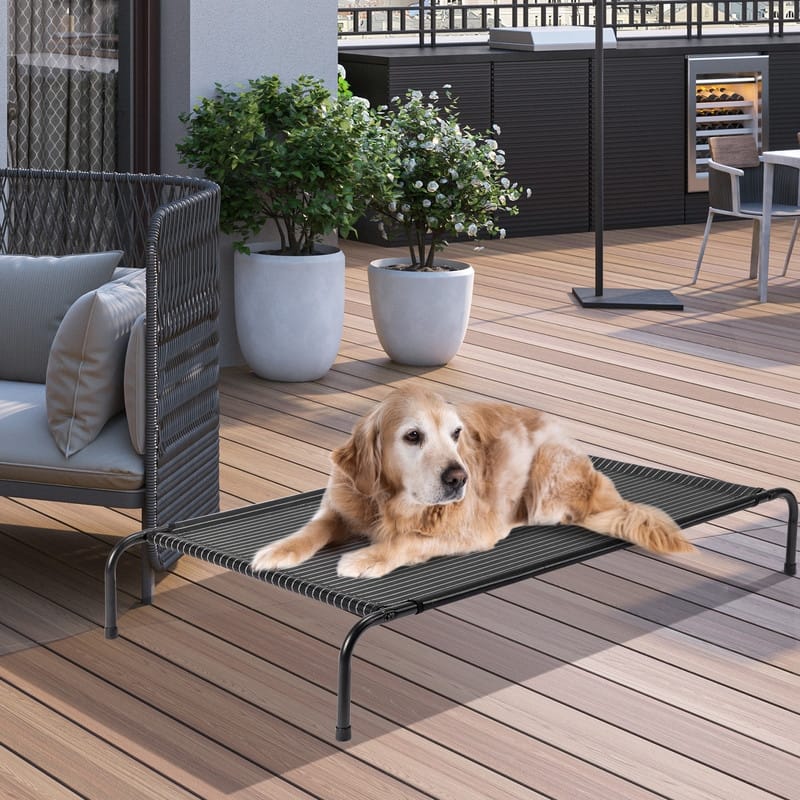 50 in. x 31 in. Iron Frame Gray Mesh Surface Outdoor Dog Cot - 50 in. x 31 in. x 8 in.