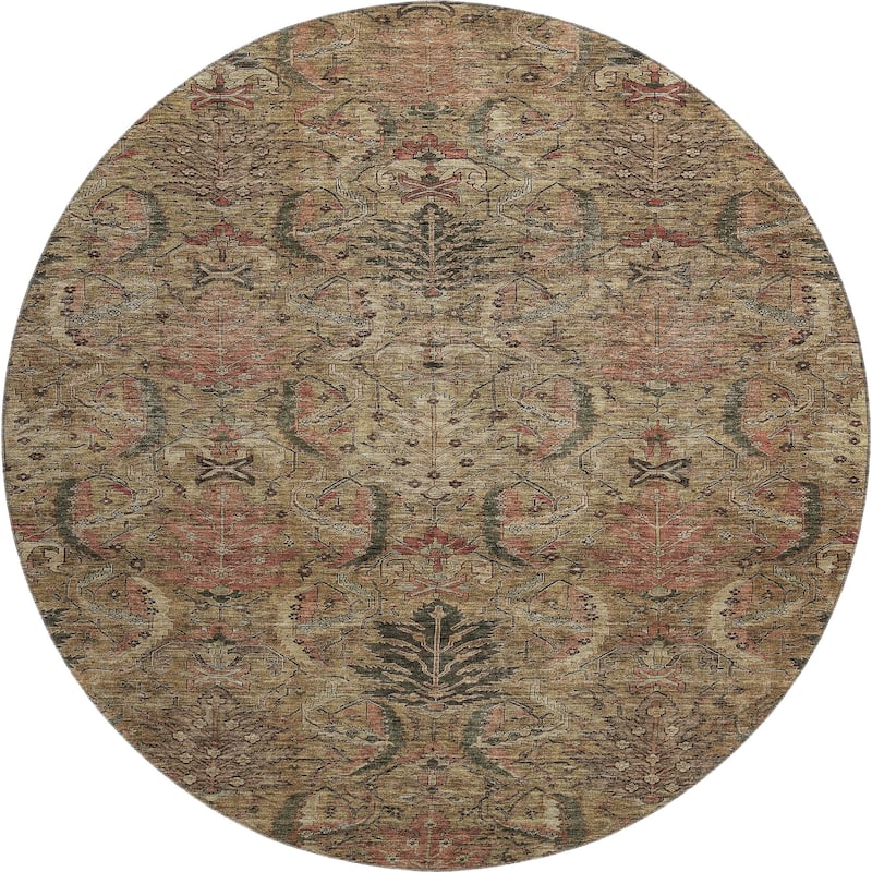 Premium Washable Super Soft Traditional Mayfield Rug