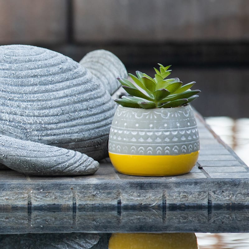 Succulent In 2 Tone Mayan Ceramic Pot,Yellow