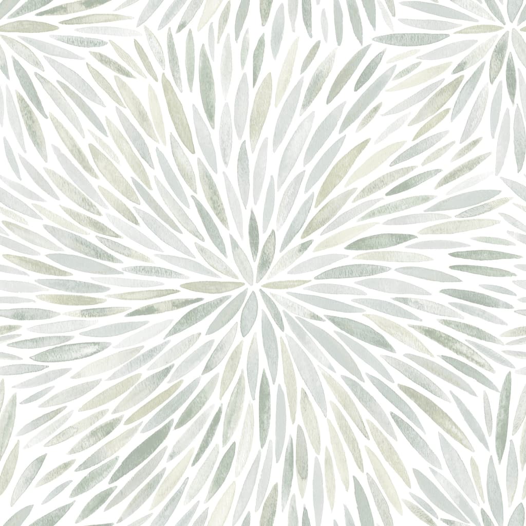 Green Cat Coquillette Burst Peel and Stick Wallpaper