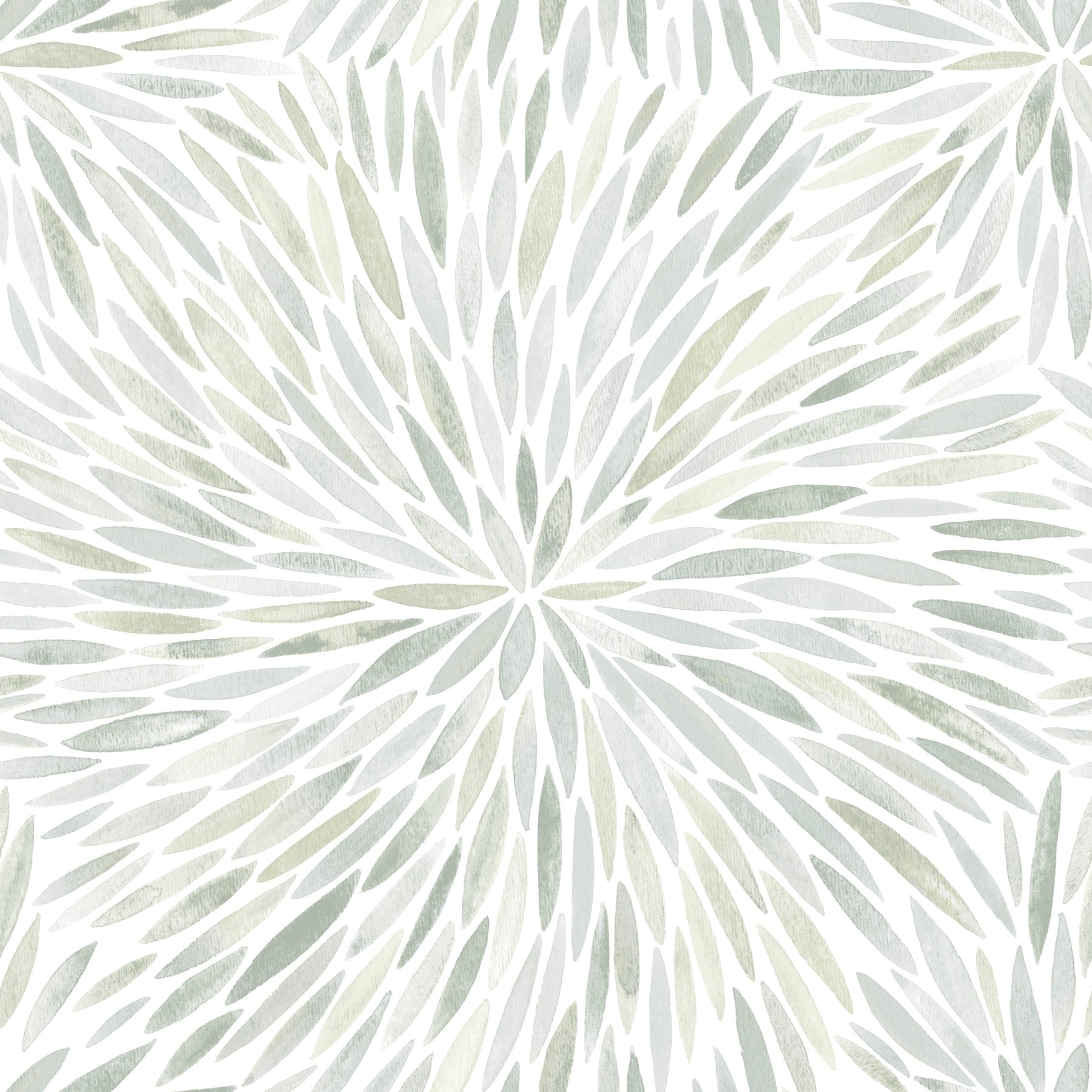 Green Cat Coquillette Burst Peel and Stick Wallpaper