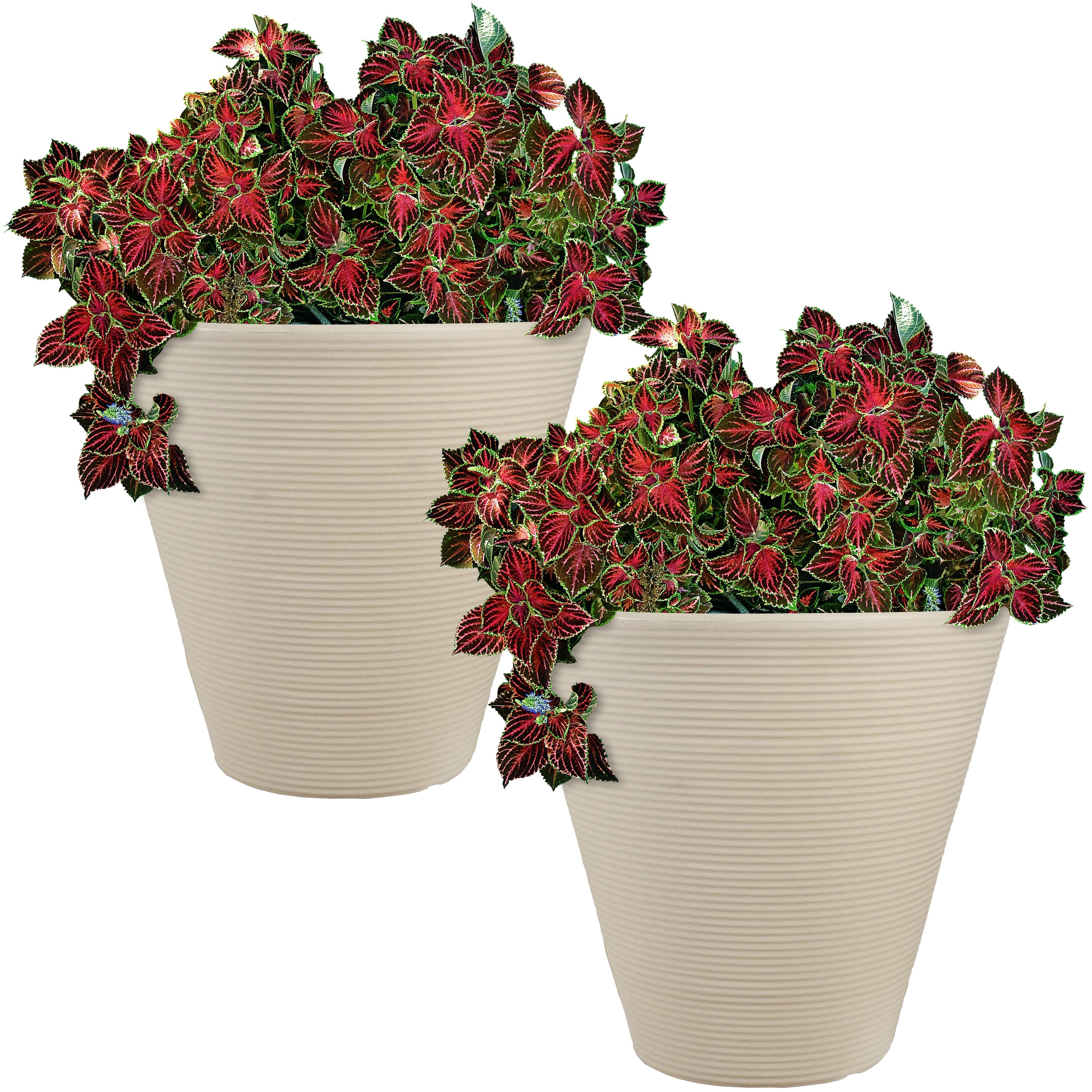 Walter Outdoor Double-Walled Flower Pot Planter - Beige - 16" - 2-PK - Set of 2