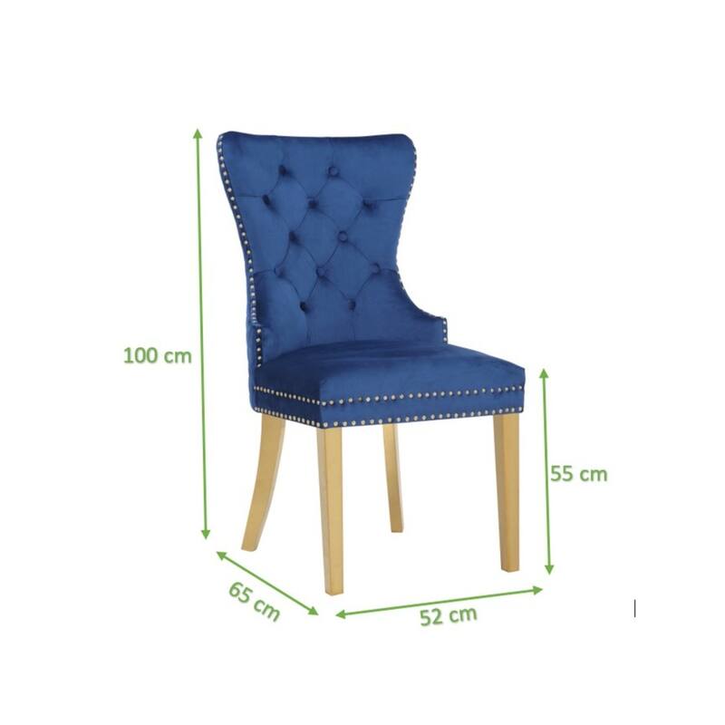 Modern Set of 2 Dining Chairs with Button Tufted Upholstered Back, Nailhead Trim, Stainless Steel Legs for Dining Room