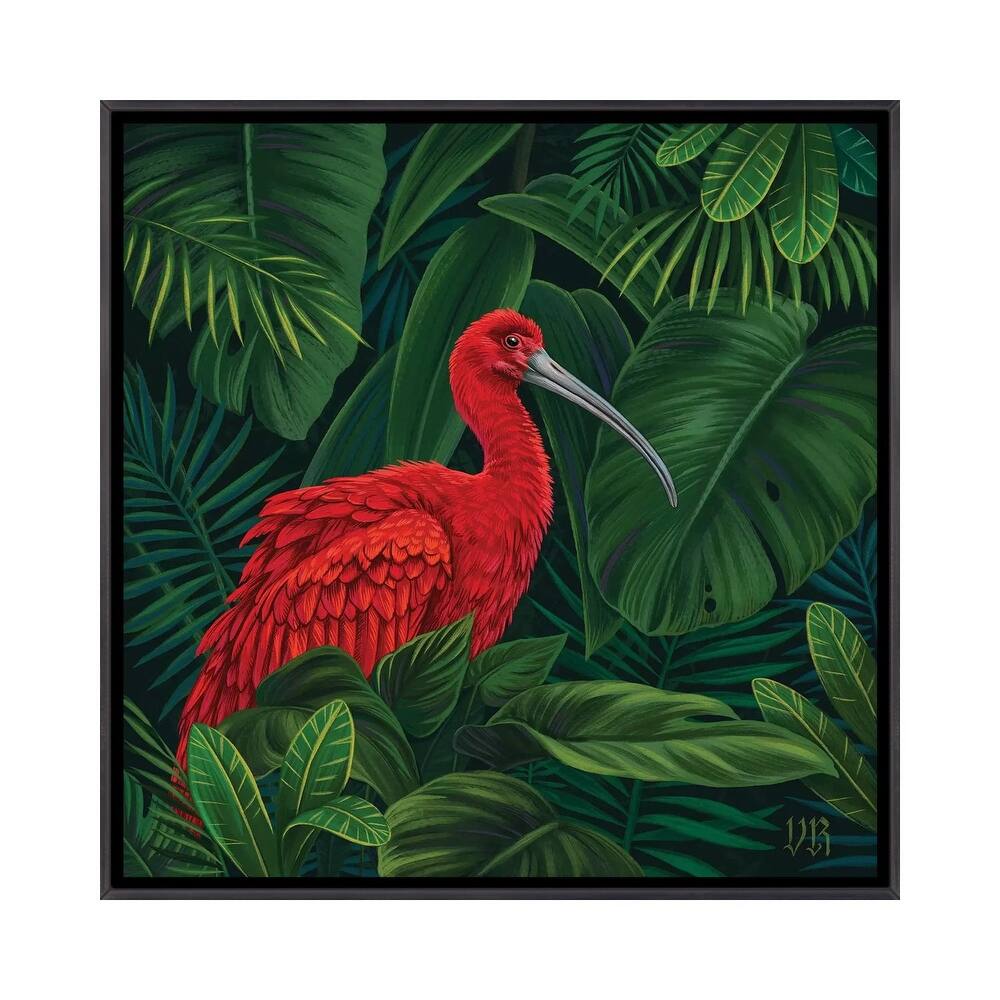iCanvas "Scarlet Ibis" by Vasilisa Romanenko Framed