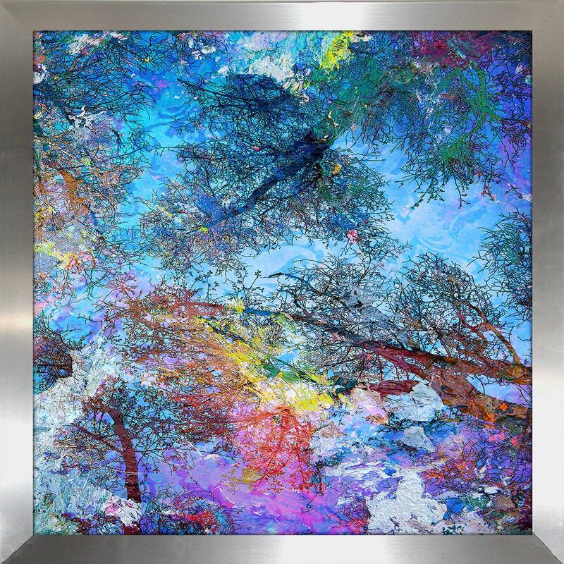"Dreaming up to the Trees" by Michael Broom II Print on Acrylic