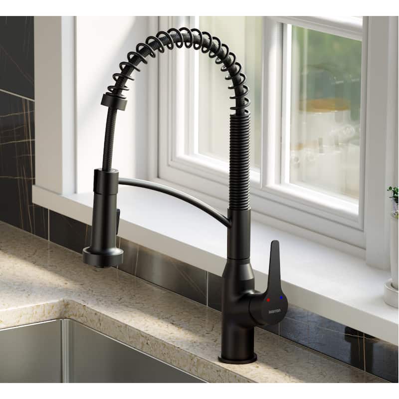 Karran Scottsdale Single-Handle Pull-Down Sprayer Kitchen Faucet with Matching Soap Dispenser