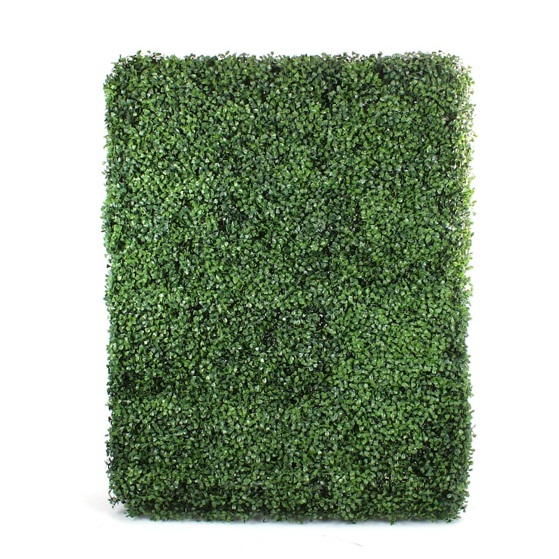 Boxwood Hedge Wall