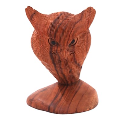Novica Handmade Owl Bust Wood Sculpture