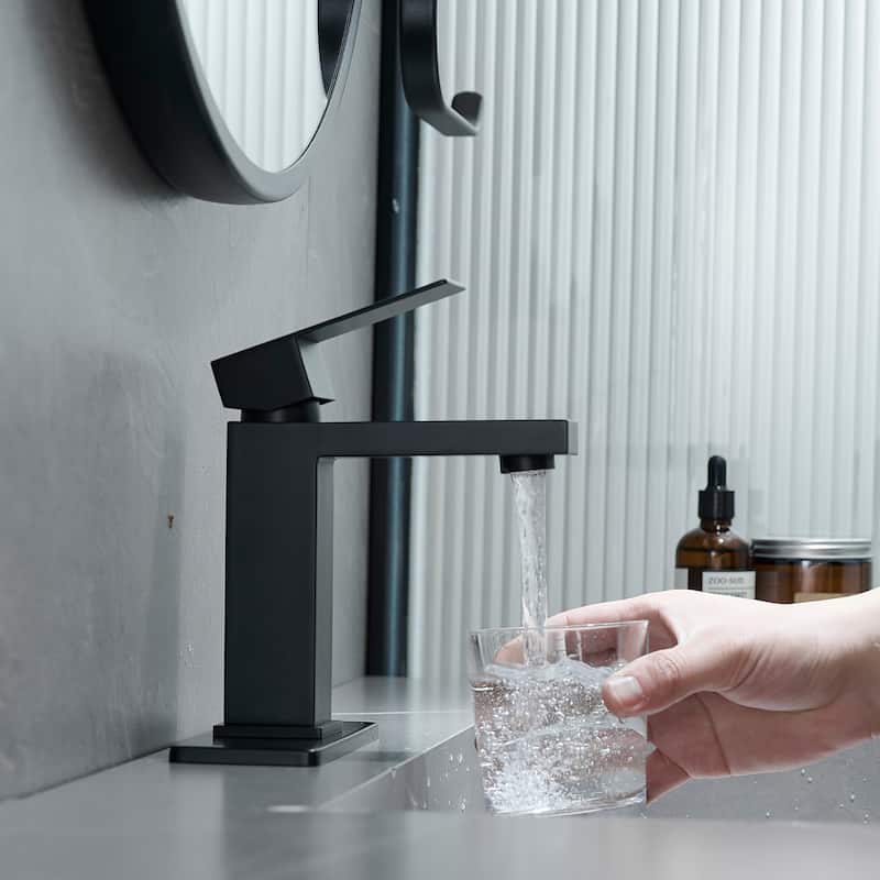 Single-handle Bathroom Sink Faucet with Drain and Deckplate - Matte Black