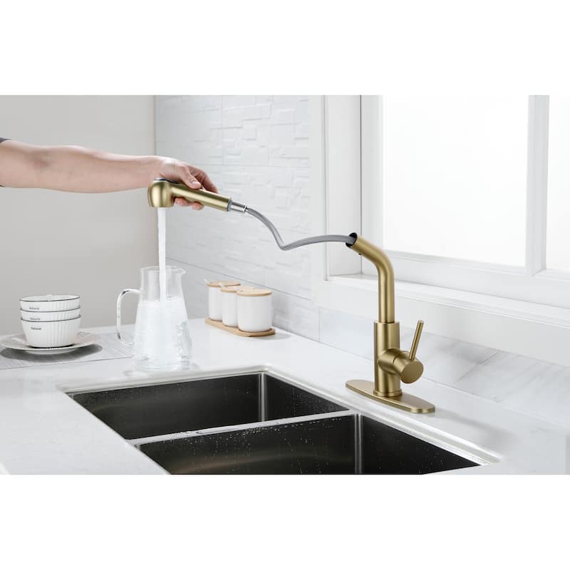 Utility Sink Faucets Single-Handle Pull-Out Laundry Faucet with Dual Spray Function in Stainless Spot Resistant Gold