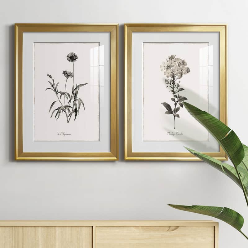Sketchbook Imperial Premium Framed Print - Ready to Hang