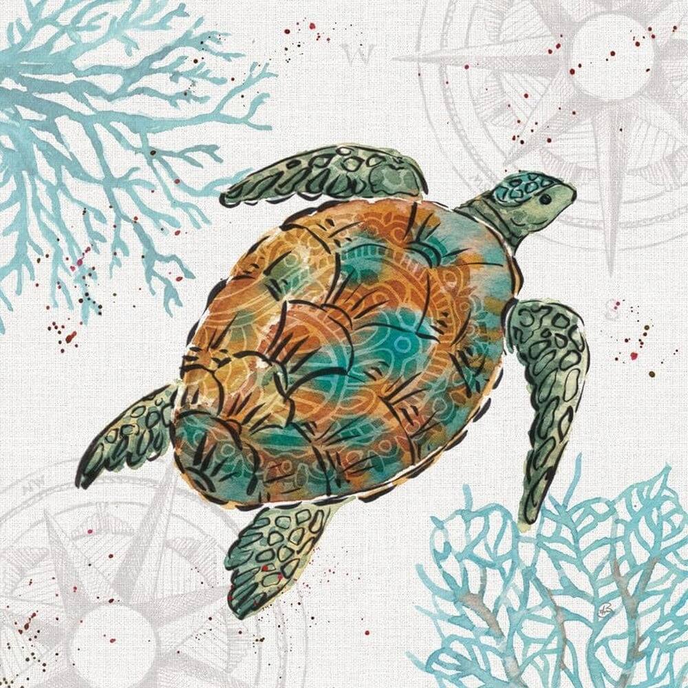Ocean Finds IV Art Poster - Print On Demand