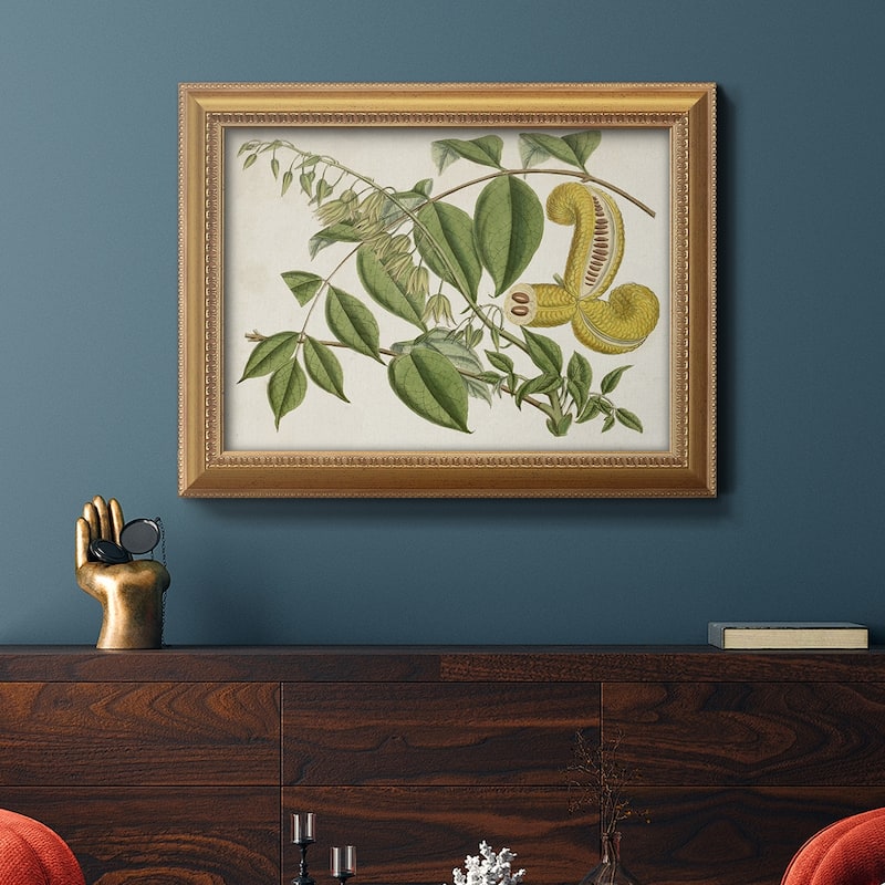 Tropical Foliage & Fruit I Premium Framed Canvas- Ready to Hang