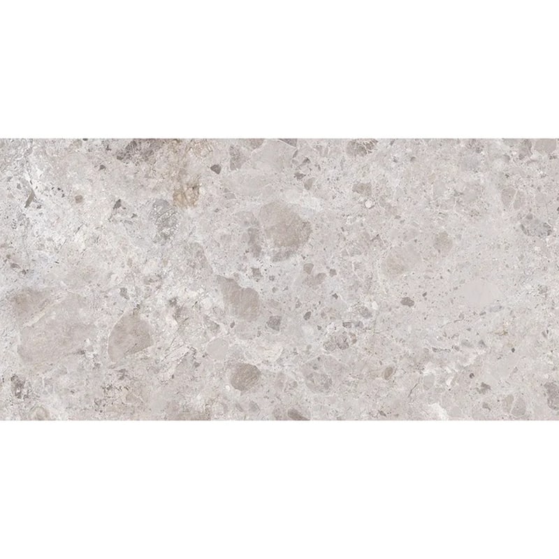 Splendor 24x48 Petra Gray Porcelain Large Format Veining Wall and Floor Tile (15.5 sq ft/case) - 2 Pack