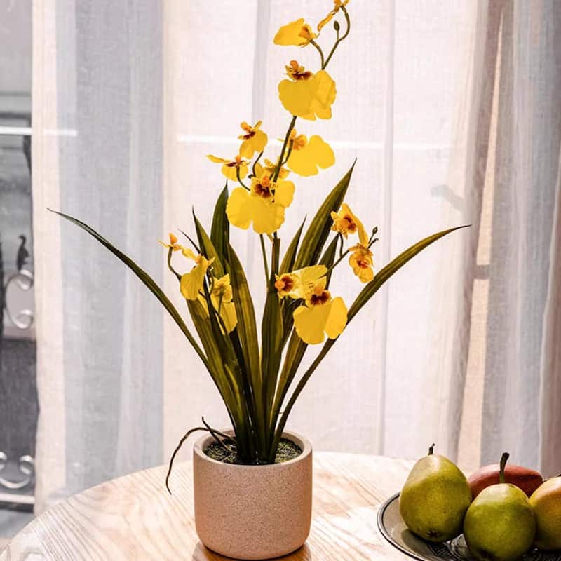 RusticReach Potted Faux Dancing Lady Orchid
