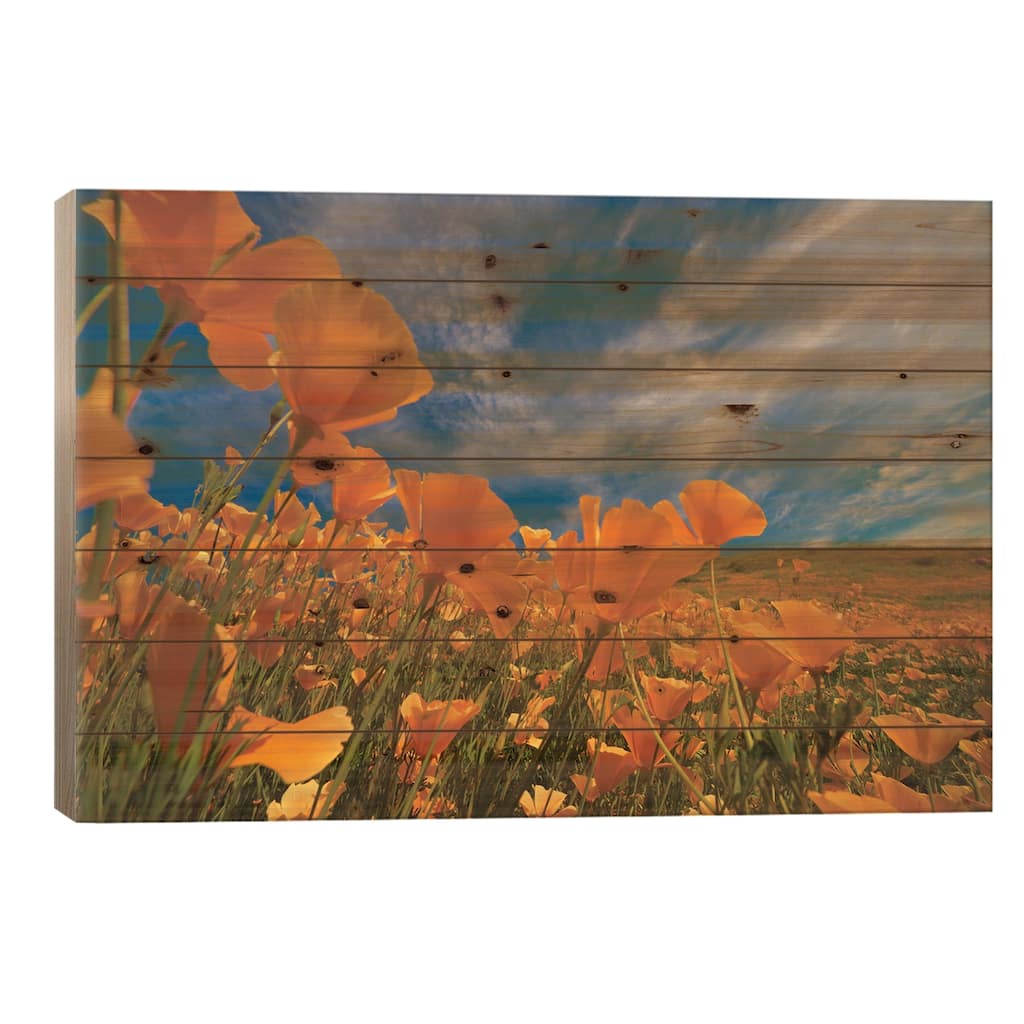 California Poppies In Spring Bloom, Lake Elsinore, California Print On Wood by Tim Fitzharris - Multi-Color