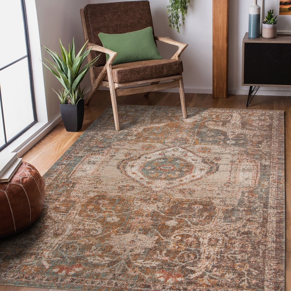 Ethereal May Vintage Medallion Brown/Orange Area Rug
