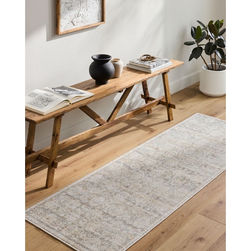 Livabliss Rojin Distressed Transitional Area Rug