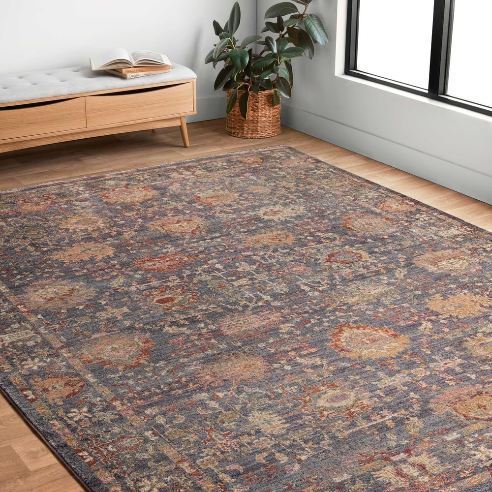 Alexander Home Jewel Oriental Boho Area Rug