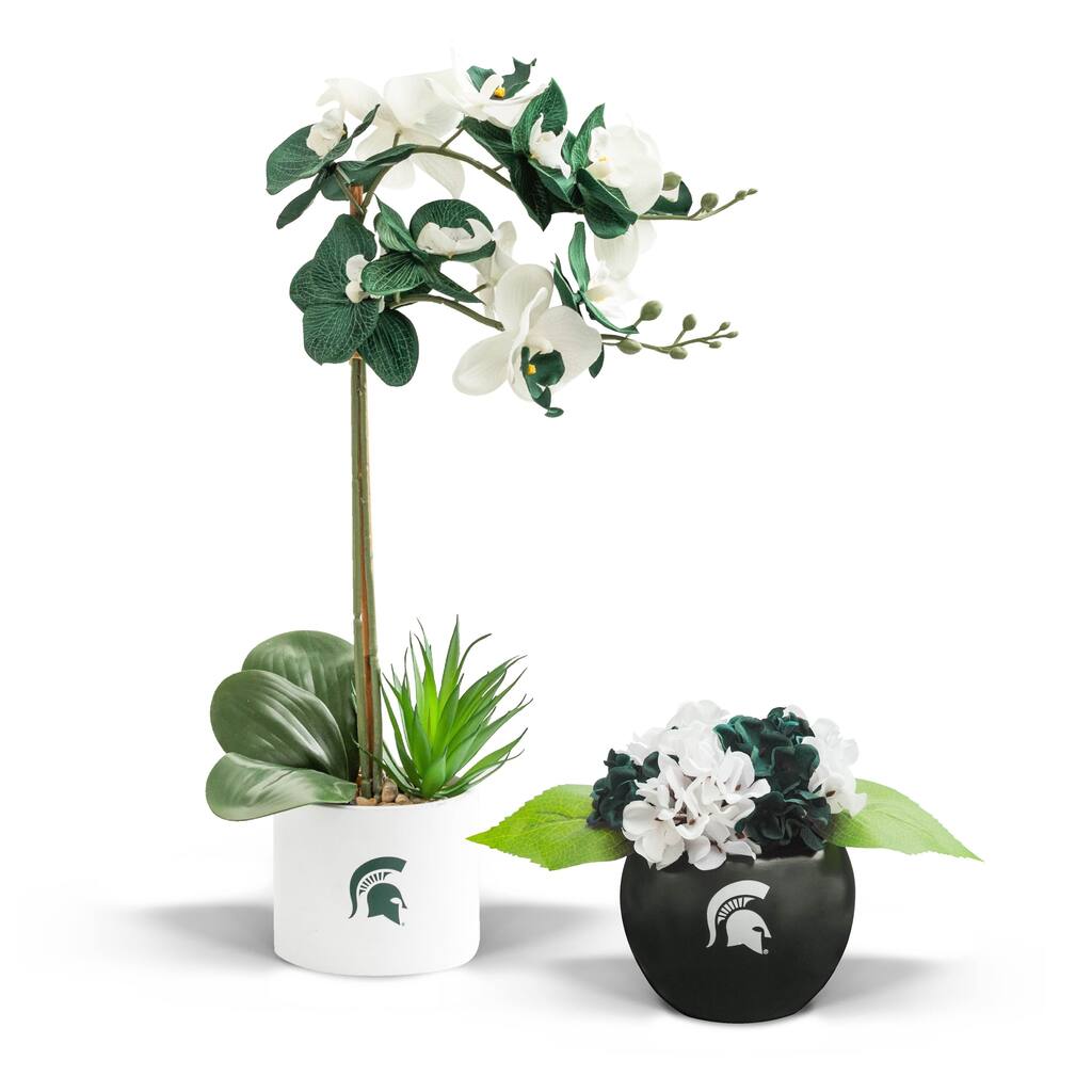 Michigan State Artificial Orchid and Hydrangea Plants 2-Pack Bundle - 6.9 inches