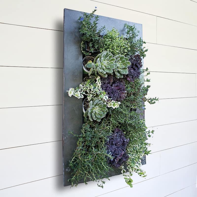 Carson Carrington Tasback Galvanized Steel/ Zinc Succulent Planter