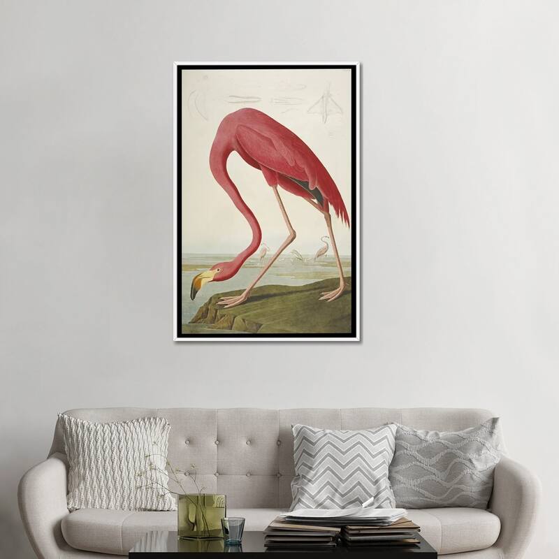 iCanvas "American Flamingo" by John James Audubon Framed Canvas Print